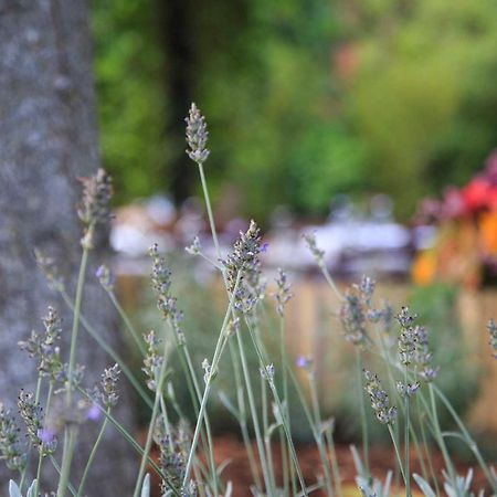 Podere La Miniera Relax & Food Siena Exterior photo